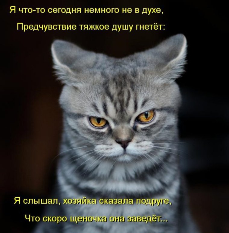 Отпуск закончился