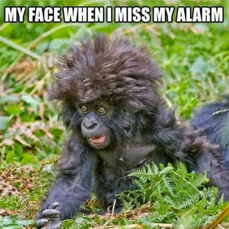 Завтра на работу прикольные