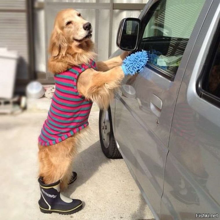 Автомойка юмор