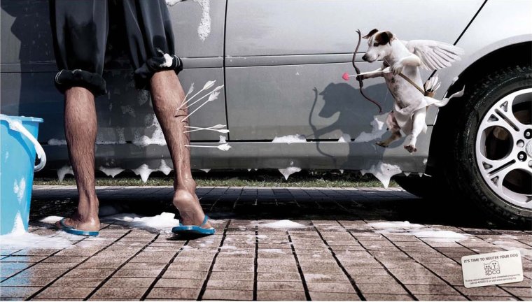 Автомойка креативная реклама