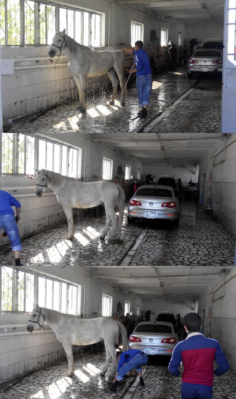 Приколы автомойки