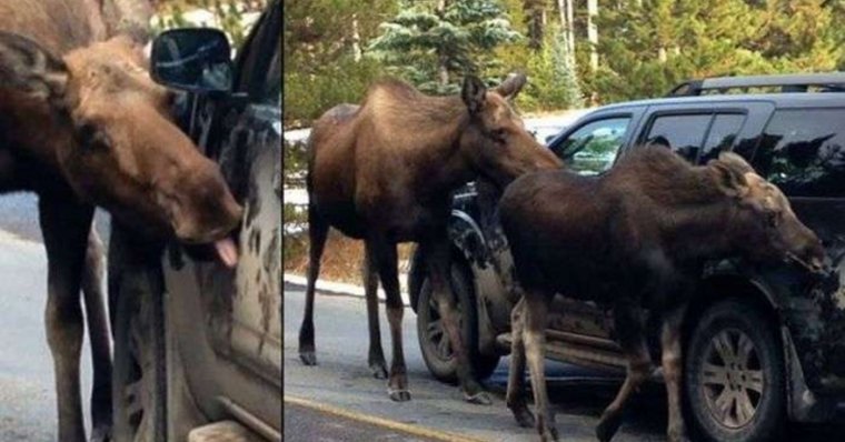 Одноклассники приколы про автомойку