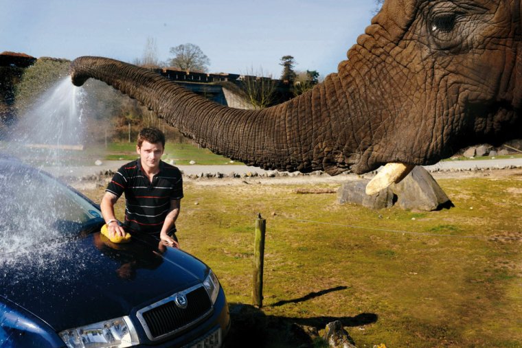 Реклама автомойки