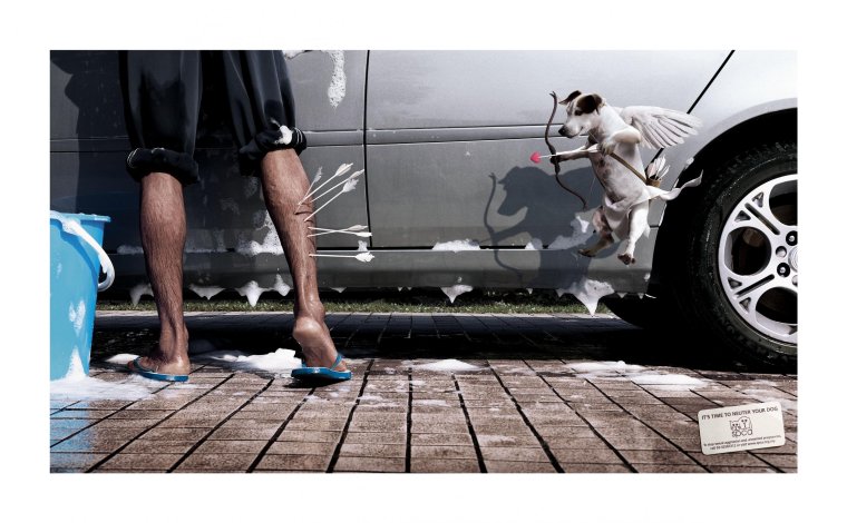 Смешные фото на тему что это?