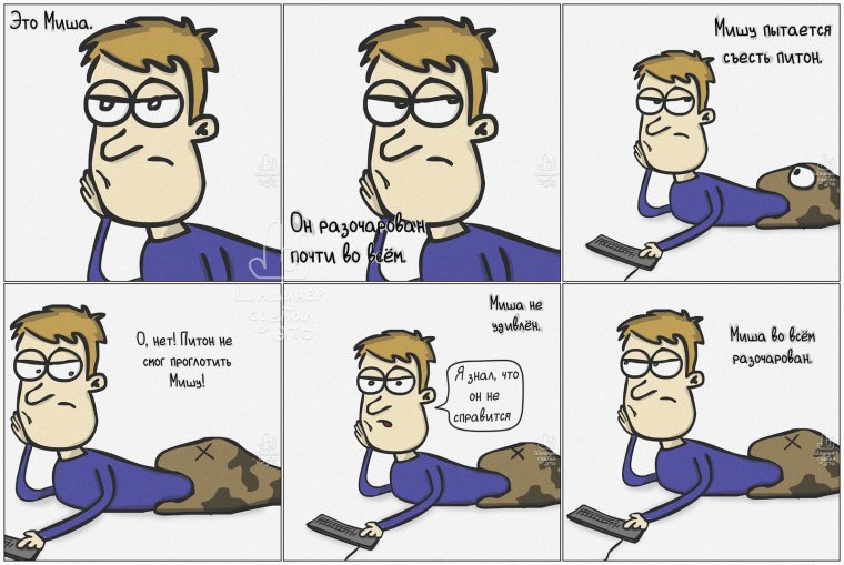 Шутки про Мишу