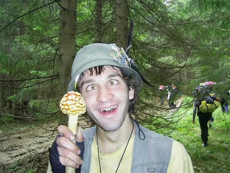 Веселый гриб