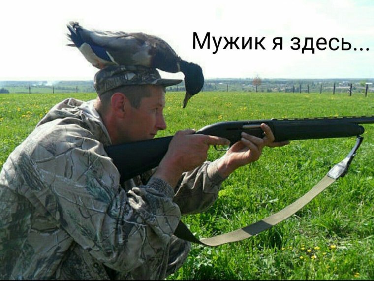 Смешной охотник с ружьем