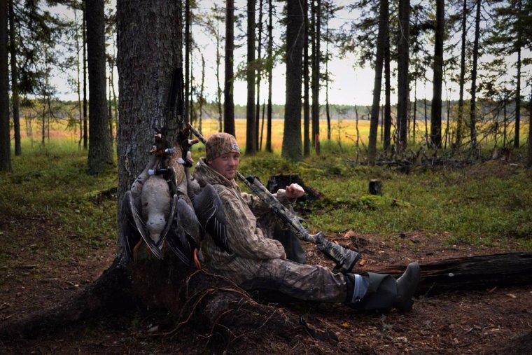 Собака на охоте прикол