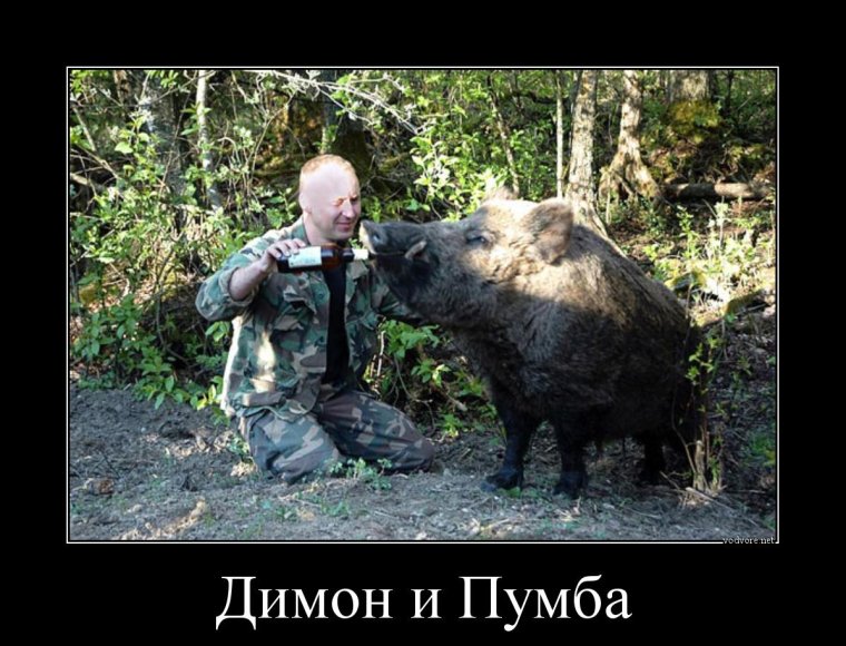 Прикольные мемы про охоту