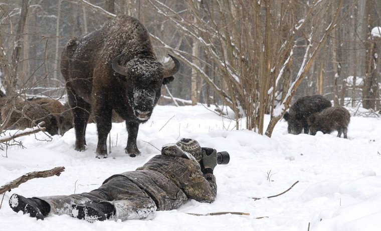 Лицо охотника