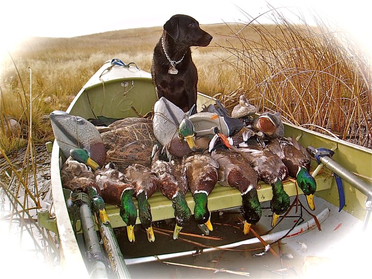 Приколы на рыбалке