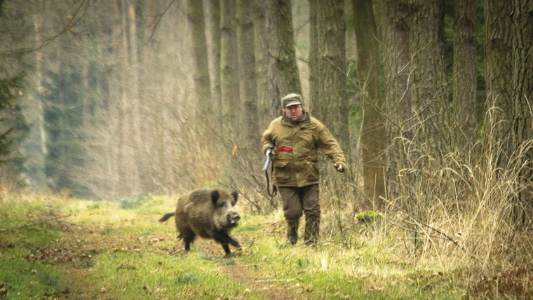 Охота и рыбалка юмор