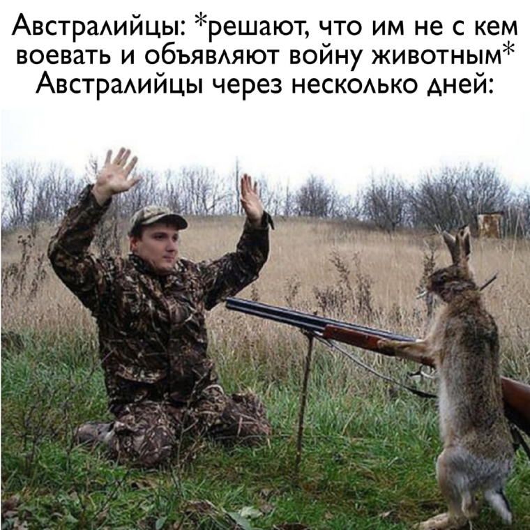 Приколы на охоте