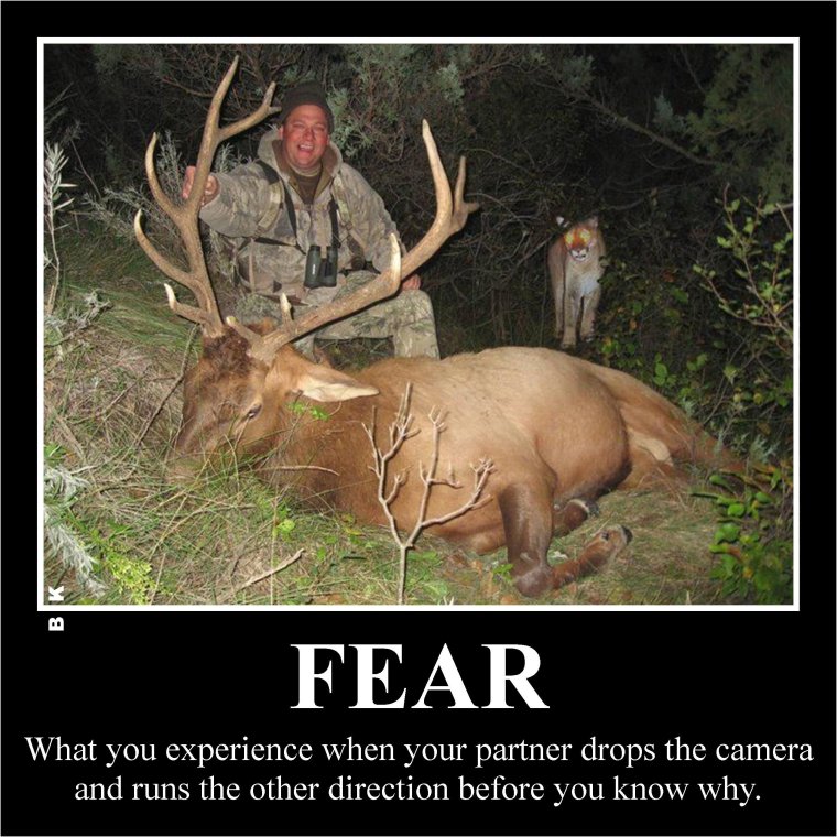 Приколы на охоте