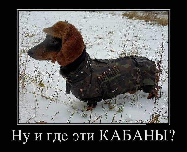 Приколы про охотников