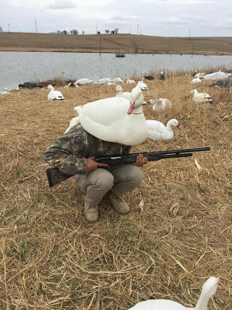 Смешной охотник