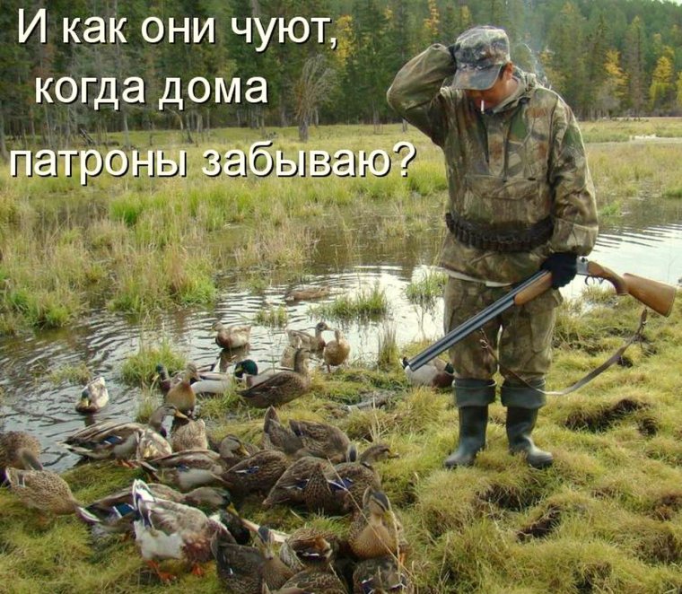 Мемы про охоту