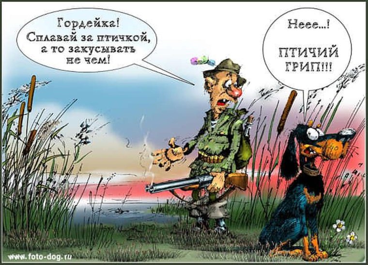 Шутки про охоту
