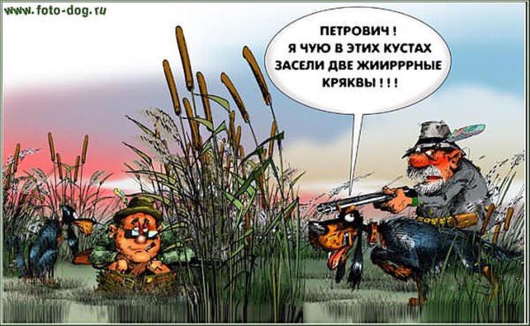 Шутки про охоту