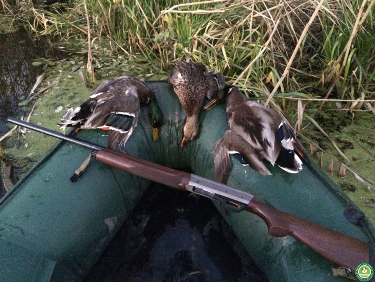 Машина для охоты