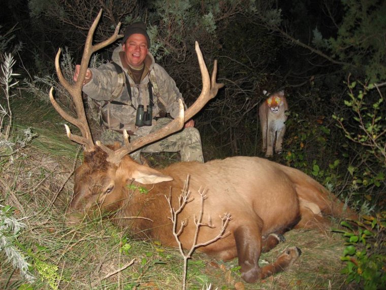 Карикатуры на охотников