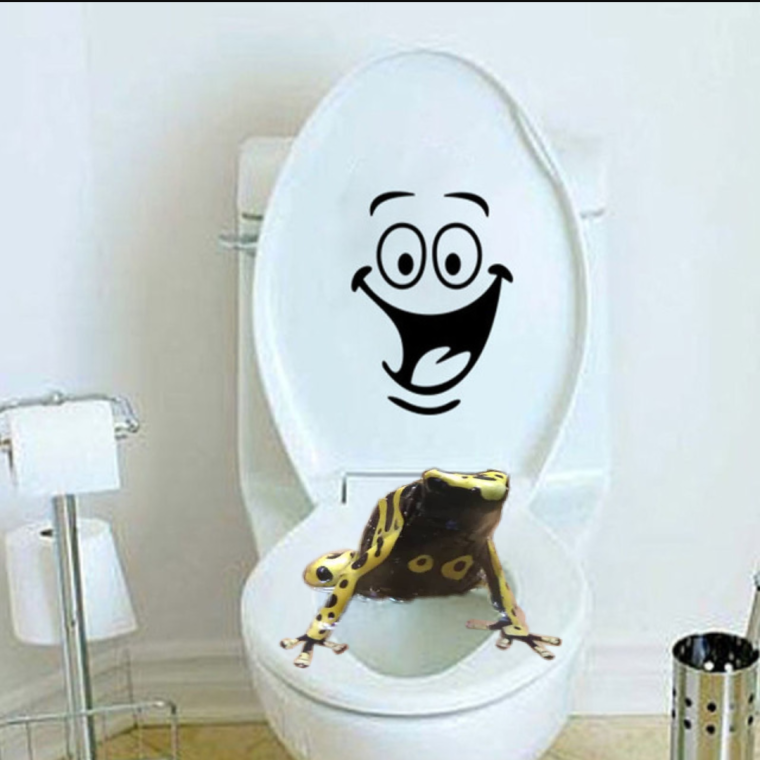 Рисунок на крышке унитаза