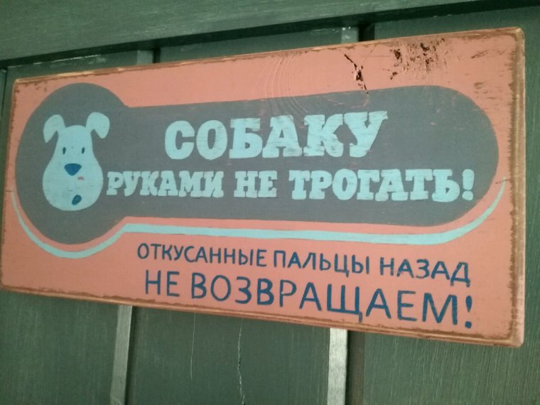 Прикольные таблички про собак