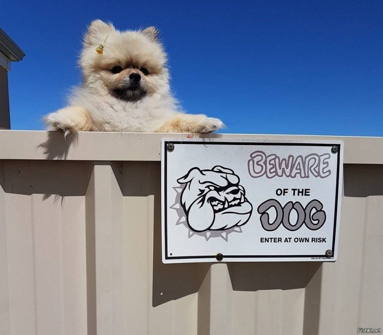 Табличка осторожно