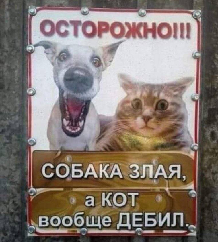 Осторожно, злая собака!