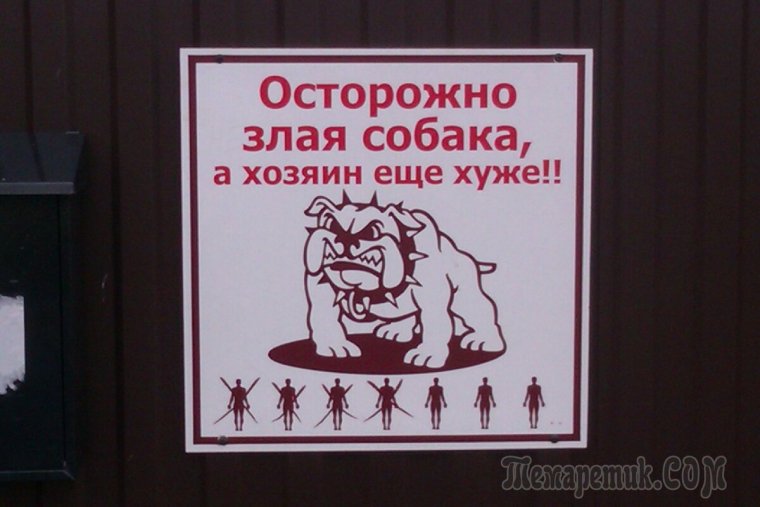 Футболка осторожно злая собака