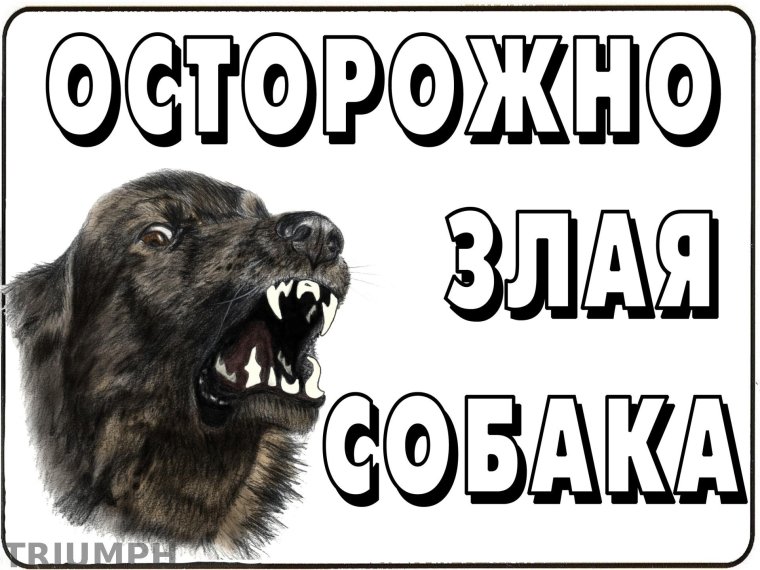 Бронзовая табличка