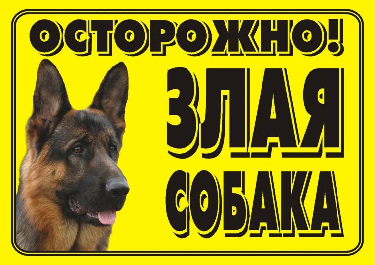 Табличка осторожно злая собака немецкая овчарка
