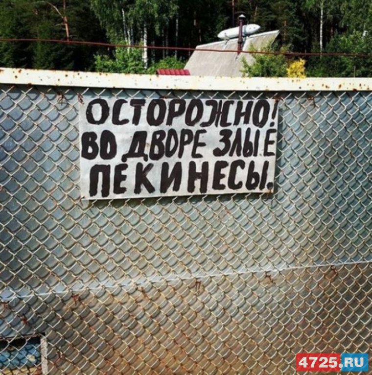 Веселые надписи на заборе