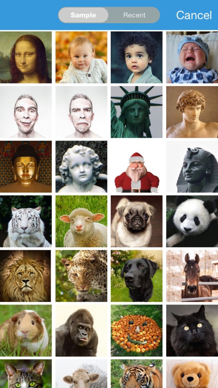 Мисс перевоплощение прикольные смешные картинки