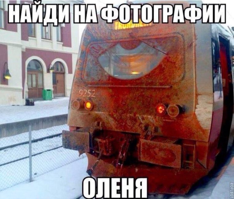 Найди оленя на картинке поезд