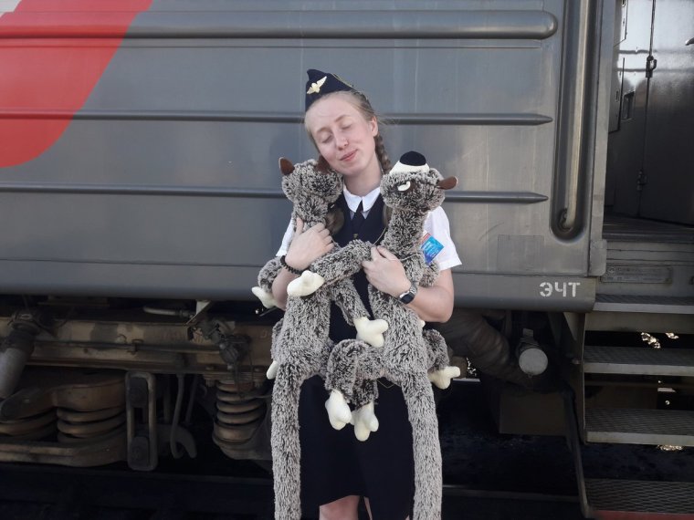 Смешная проводница