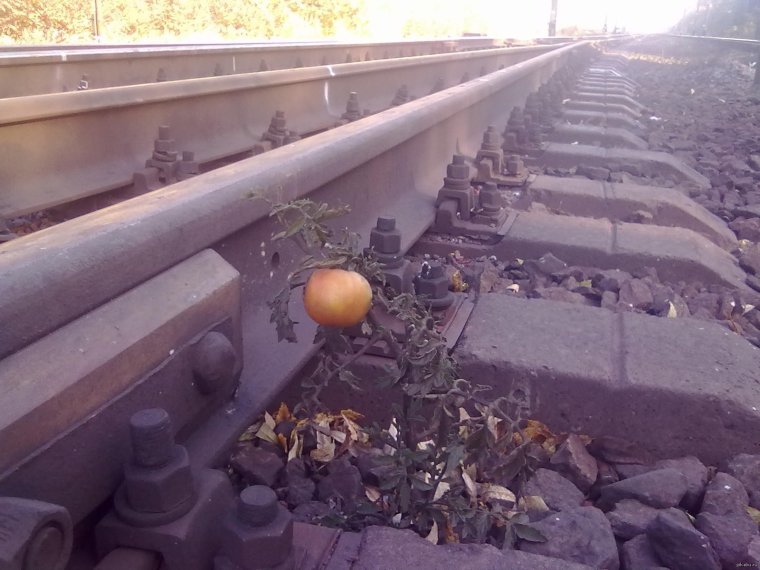 Железнодорожные мемы