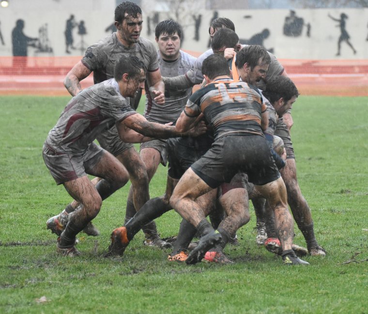 Регби число игроков на поле