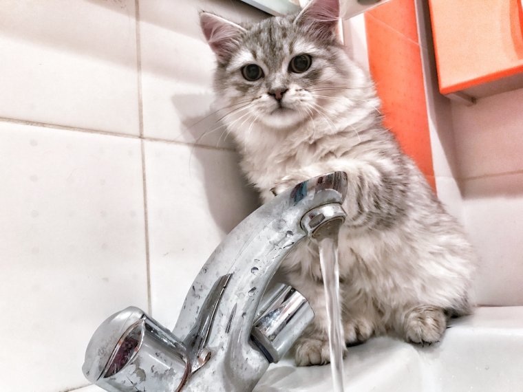 Прикольные случаи фото