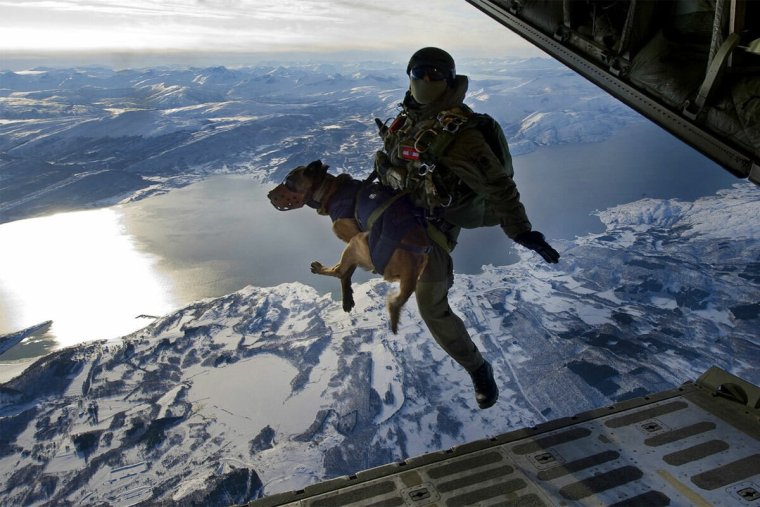 Прыжок с парашютом с собакой