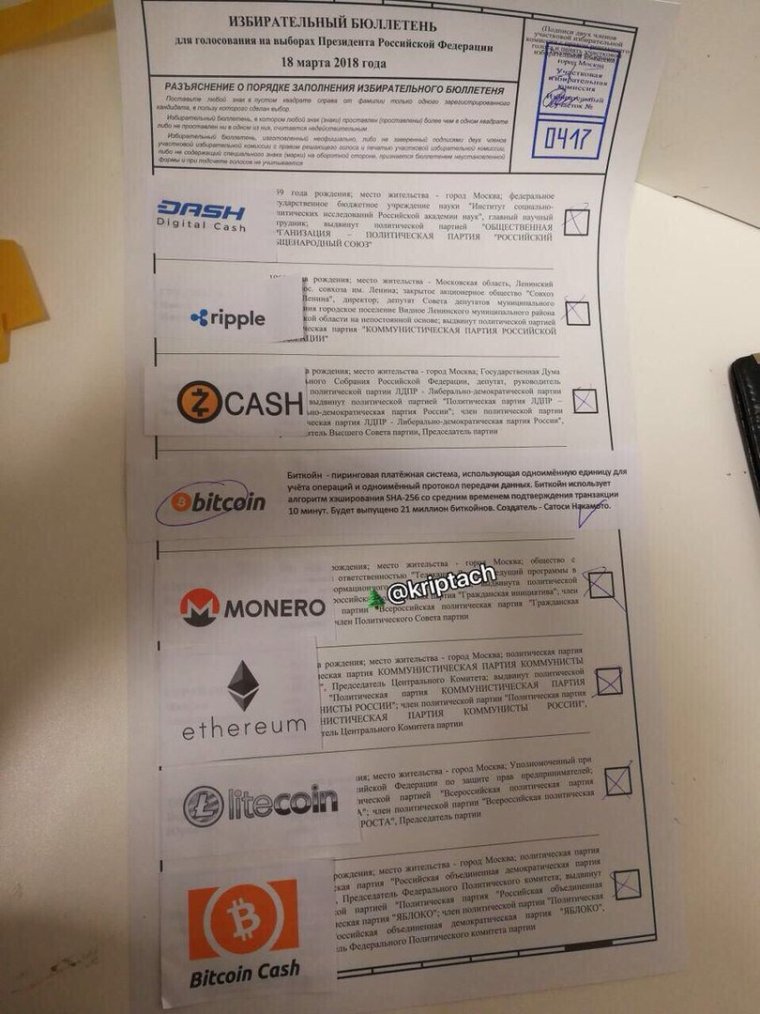 Смешные фото сэмпла