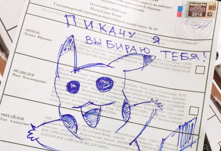 Пикачу я выбираю тебя бюллетень