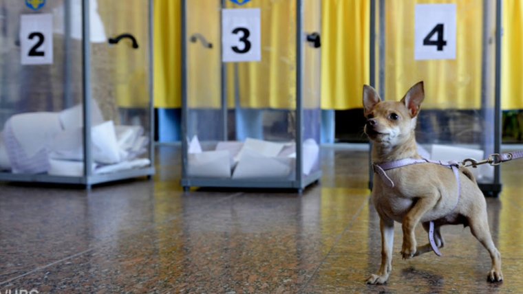 Фото испорченных бюллетеней 2021