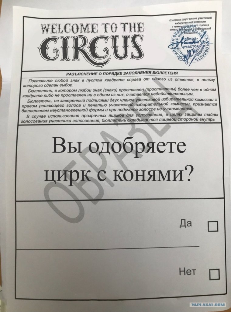 Вброс бюллетеней в Раменках