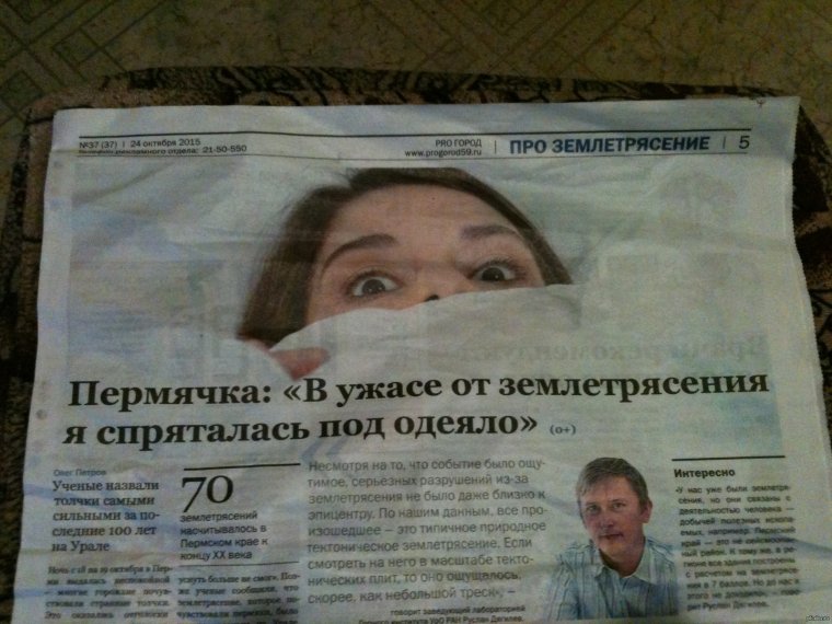 Нашкодивший щенок