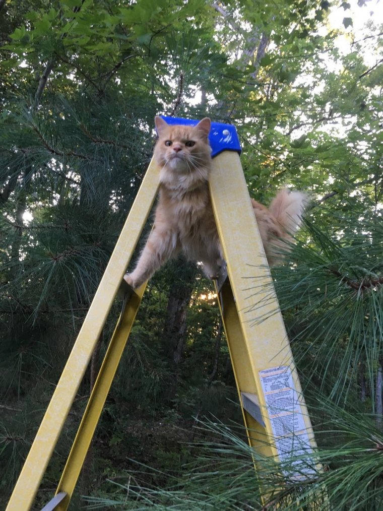 Фильмы про геодезистов