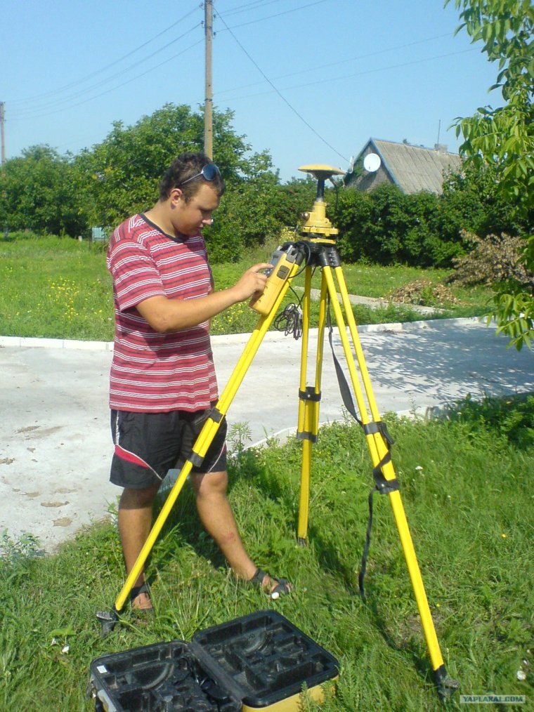 Пипин хомяк