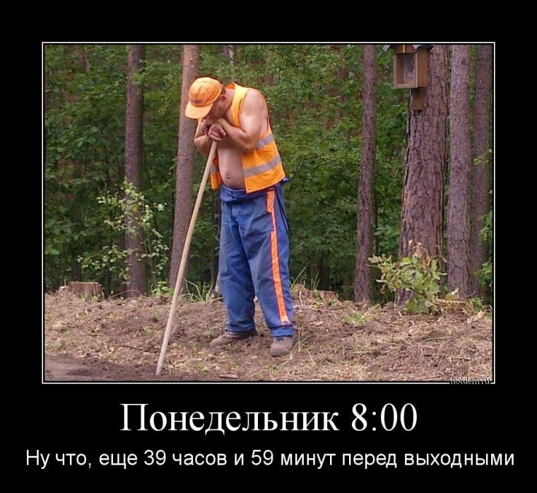 Геодезист приколы