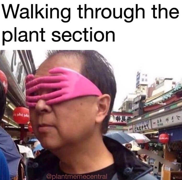 Хакухо сё в молодости