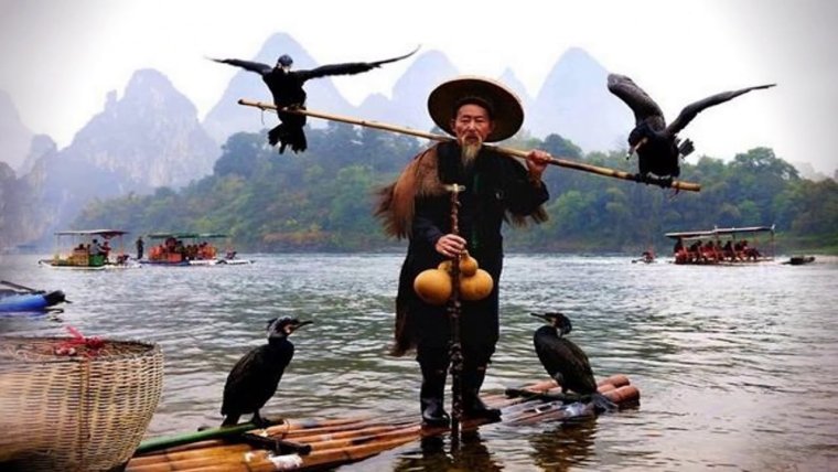 Китайский фотограф Тао лю